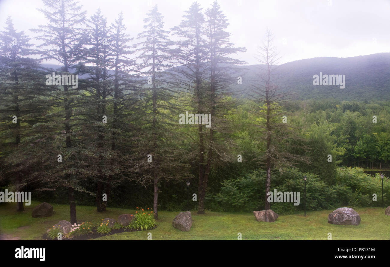 Foliage and trees are scenic this time of year. Stock Photo