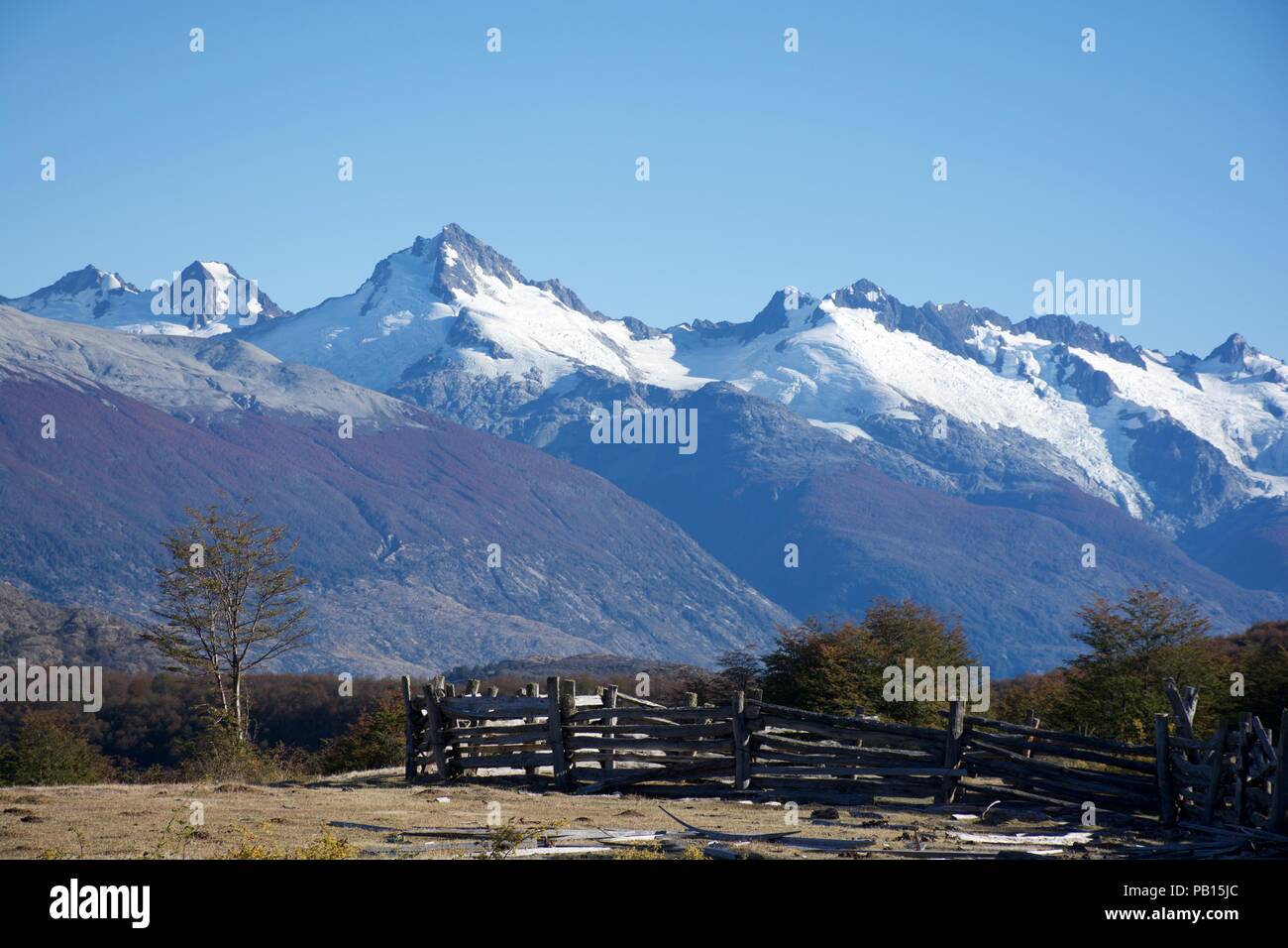 Lindero Magallanes, Carretera Austral, Patagonia, Chile Stock Photo