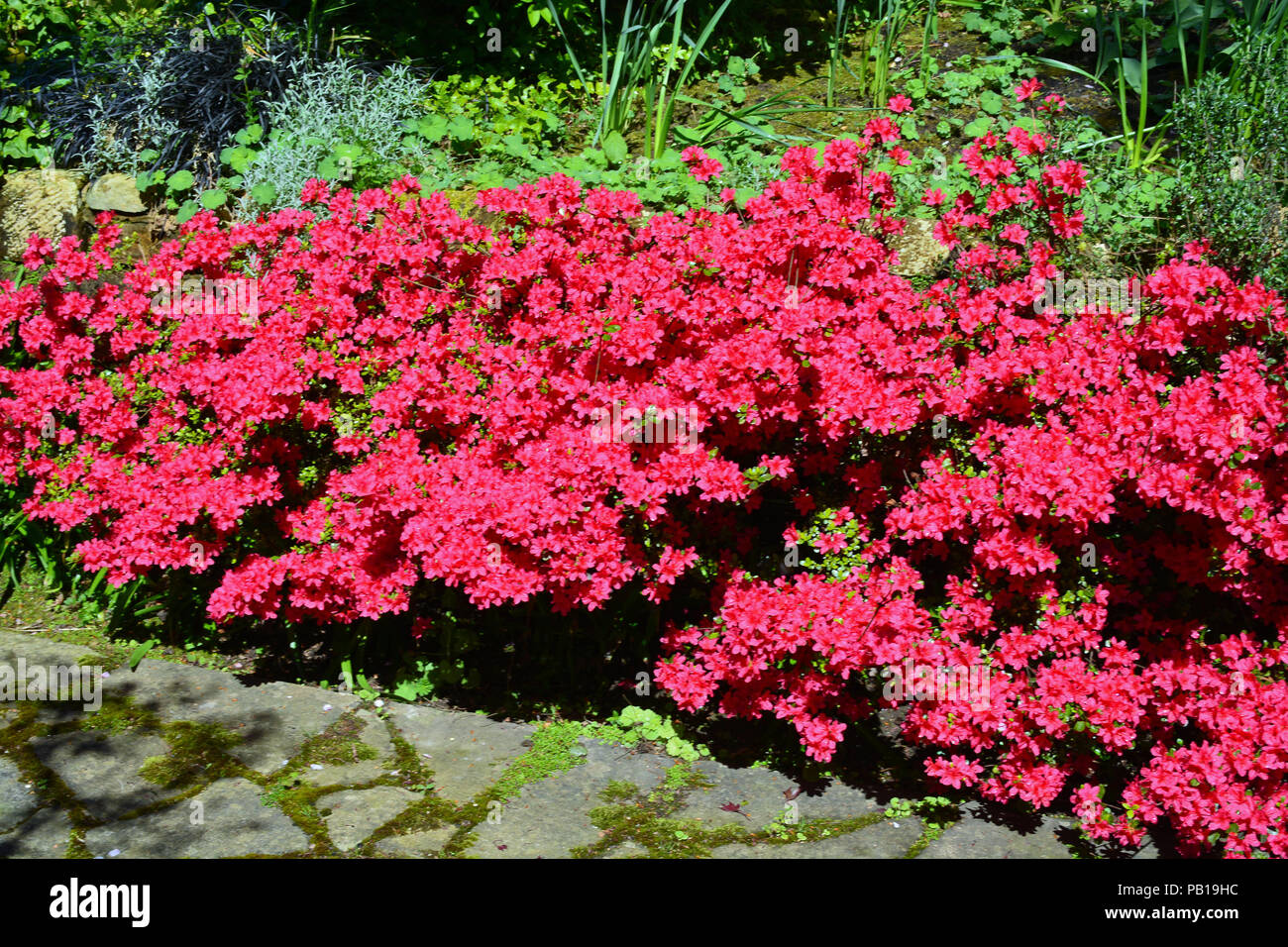 Riot Of Colour High Resolution Stock Photography and Images - Alamy