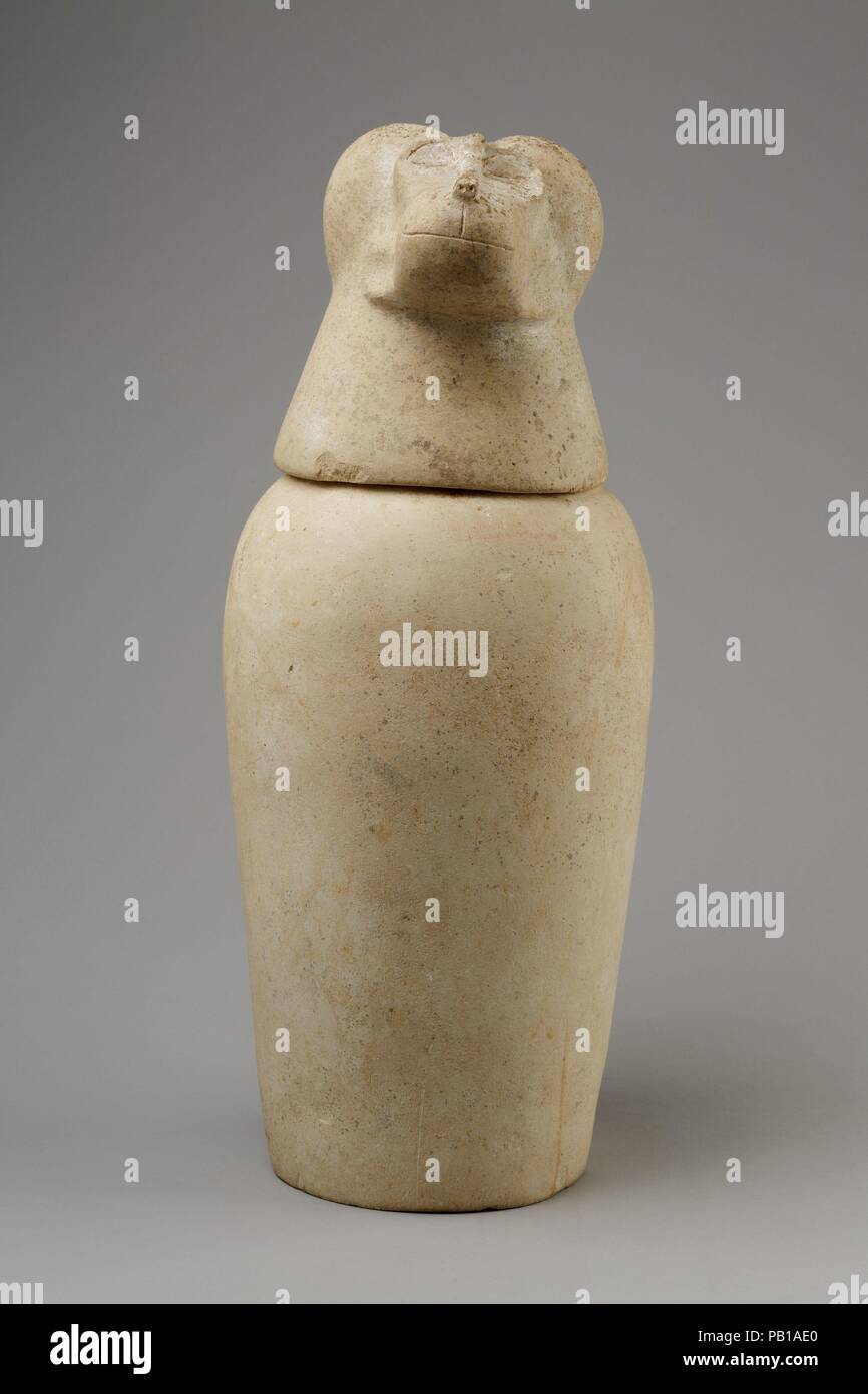 Canopic jar with head of baboon (Hapy). Dimensions: Jar: H. 26.7 cm (10 1/2 in.); d. 18.1 cm (7 1/8 in.); diam. of mouth 8.5 cm (3 3/8 in.); diam. of base 11.8 cm (4 5/8 in.); circ. 47.8 cm (19 3/16 in.); Lid: H. 14.2 cm (5 9/16 in.); w. 12.3 cm (4 13/16 in.); d. 14 cm (5 1/2 in.); diam. of foot 7 cm (2 3/4 in.); Jar with Lid: H. 39.6 cm (15 9/16 in.); greatest diam. 15.7 cm (6 3/16 in.); Jar with Lid: H. 39.6 cm (15 9/16 in.); greatest diam. 15.7 cm (6 3/16 in.). Date: ca. 800-650 BC.  This canopic is part of a set (13.180.1--.4) found in a Ptolemaic cemetery at Thebes. Use of canopics had go Stock Photo