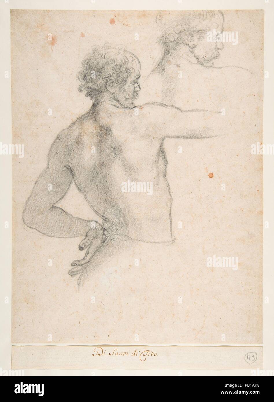 Two Studies of a Man. Artist: Santi di Tito (Italian, Sansepolcro 1536-1603 Florence). Dimensions: sheet: 13 3/4 x 6 7/8 in. (35 x 17.5 cm). Date: ca. 1575.  A pupil of Bronzino and Alessandro Allori, Santi di Tito was among the founders in 1563 of the Florentine Accademia del Disegno (the Academy of Drawing). He had a leading role among the generation of late-sixteenth-century Tuscan painters who turned to the practice of carefully observed life drawing to direct their pictorial language away from an abstract Mannerist vocabulary and toward one of greater naturalism. Of great psychological pr Stock Photo