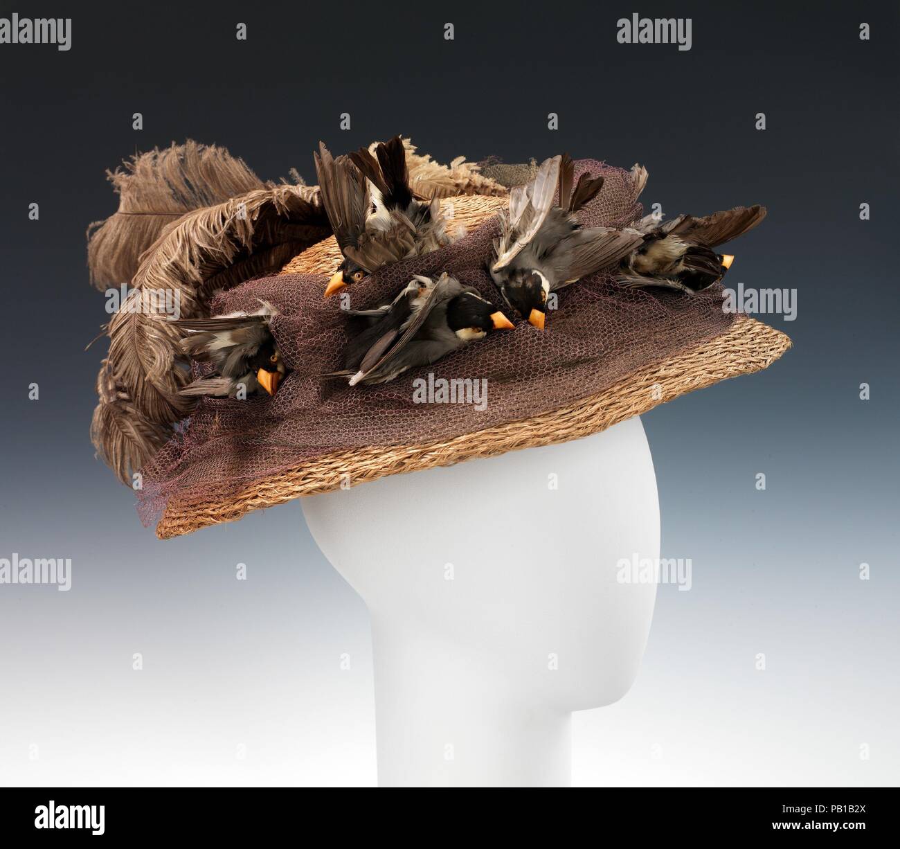 Birds nest hat headpiece hires stock photography and images Alamy
