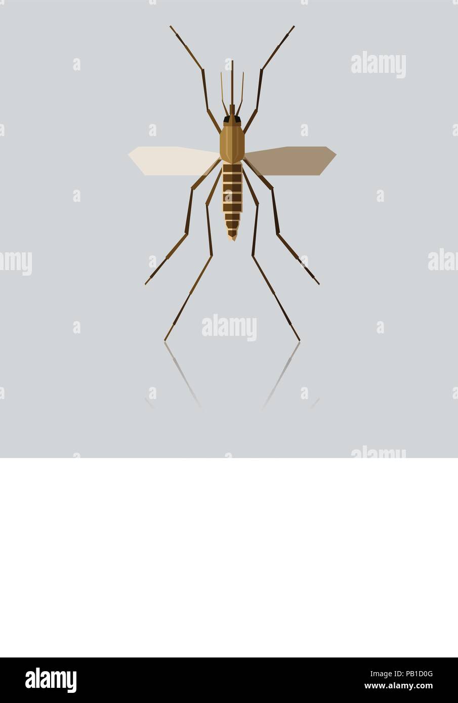 Flat geometric Mosquito Stock Vector Image & Art - Alamy