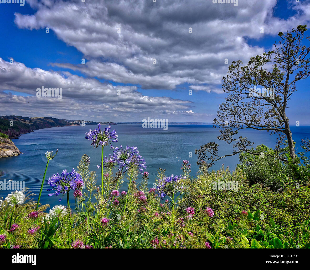 GB - DEVON: Babbacombe Bay seen from Clifftop Green (HDR Image) Stock Photo