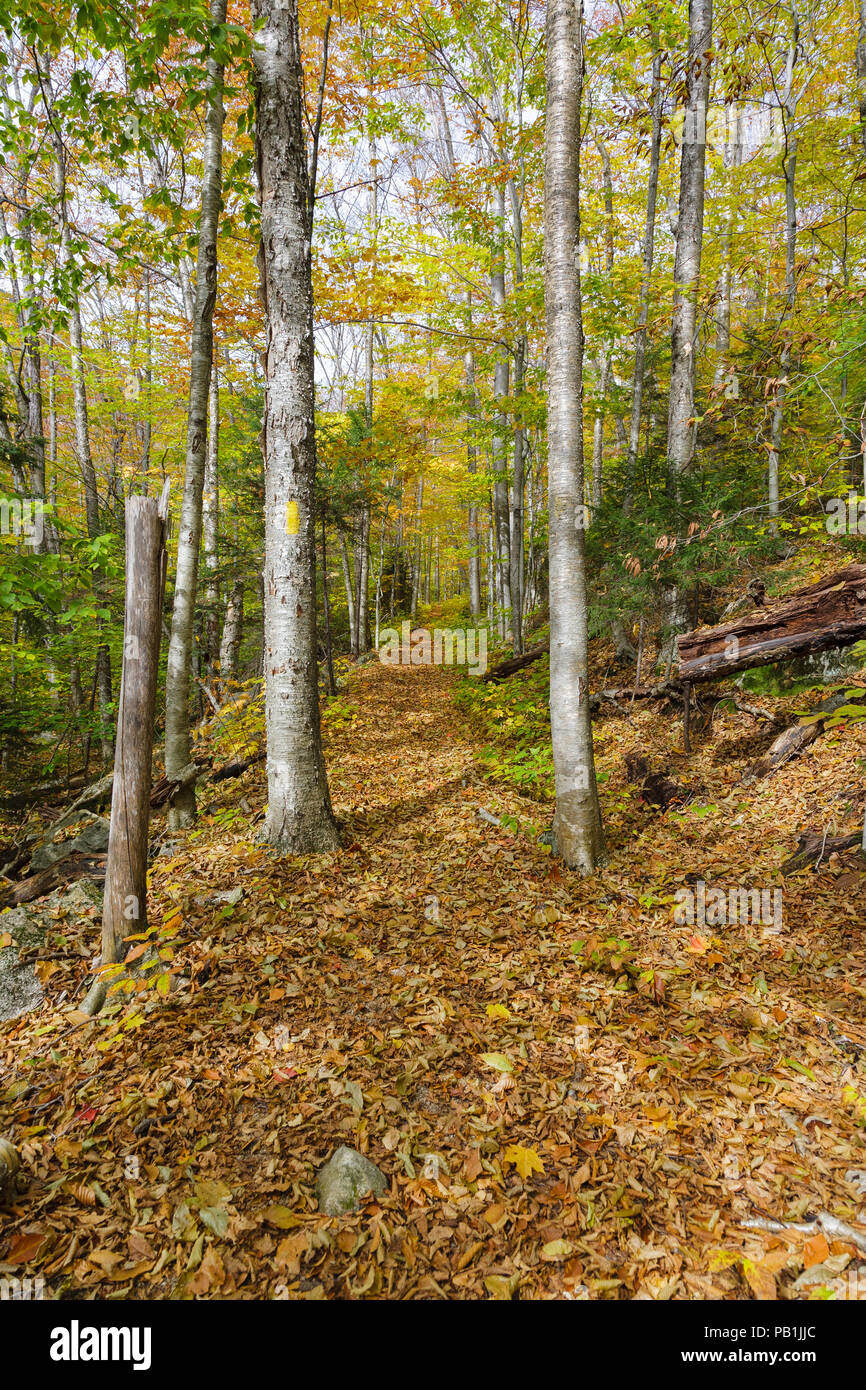 The Osseo Trail, seen here, in Lincoln, New Hampshire utilizes a
