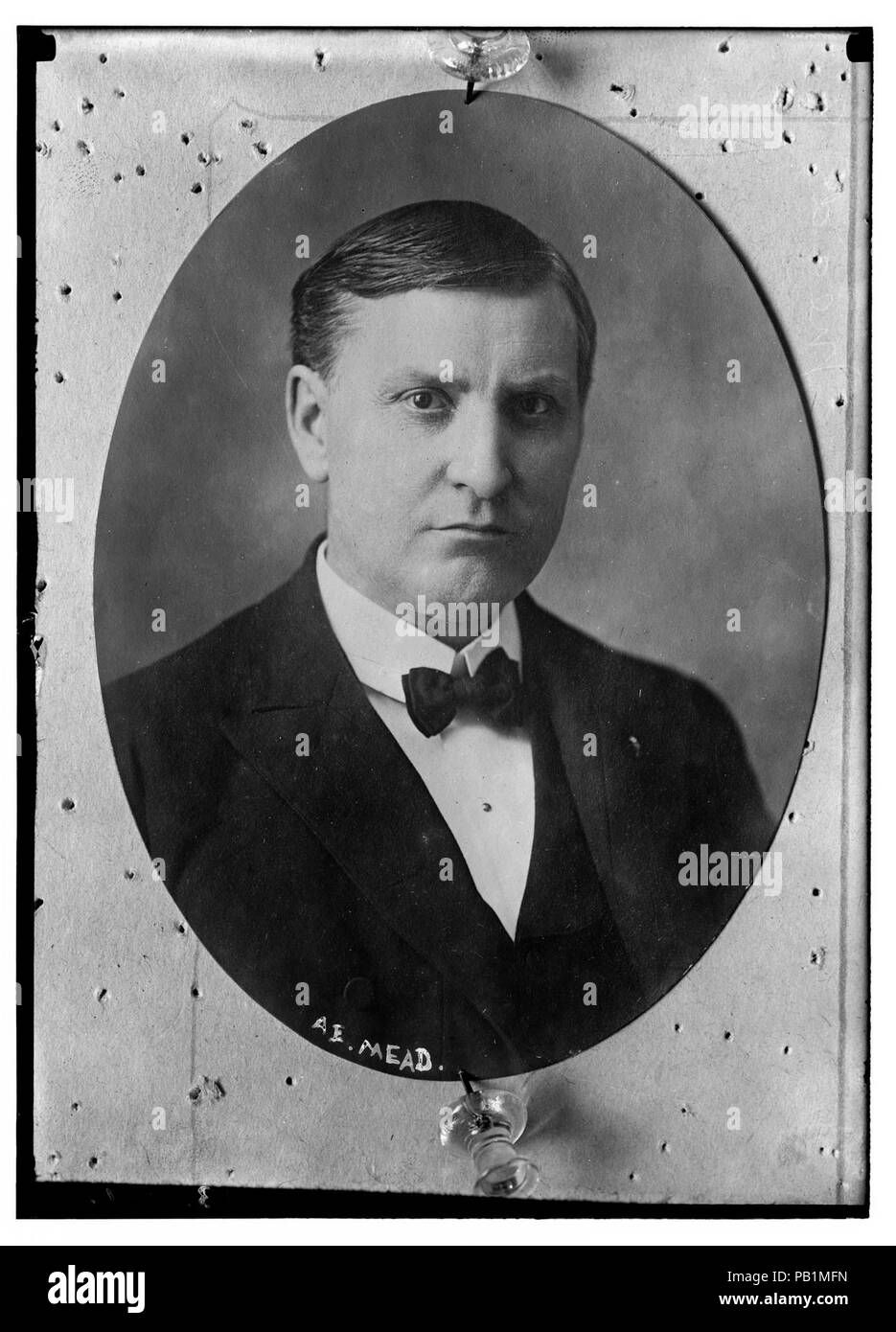 Mead botanical garden hires stock photography and images Alamy