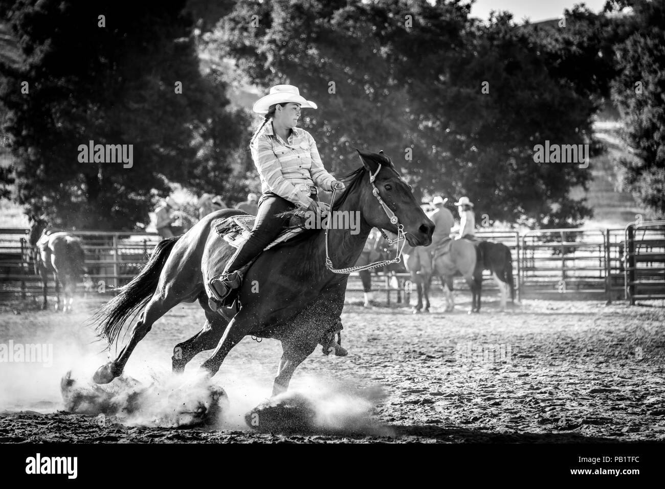 Real cowgirl shows true grit as her horse leans, digs in during a barrel race stirring up dust from its hooves as they turn. Racing rider on horseback. Stock Photo