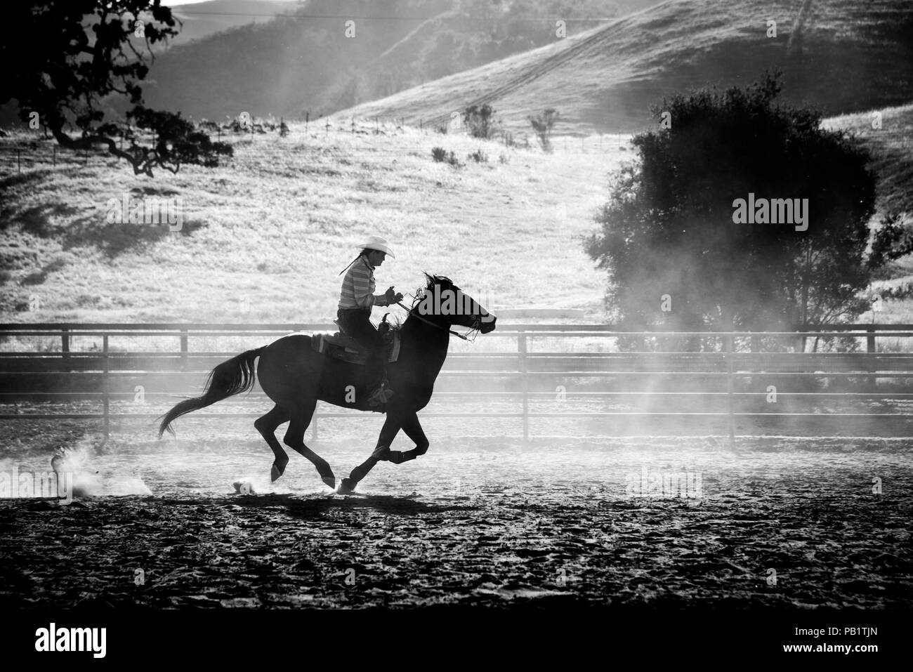 A black and white silhouette of a real cowgirl woman wrangler on horseback galloping with fence and hills behind in a horizontal action shot. Stock Photo