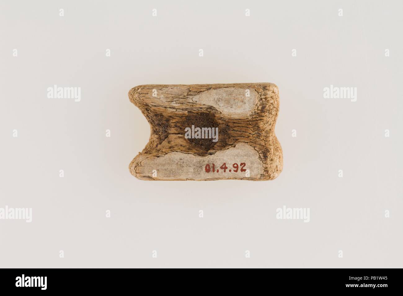 Knuckle Bone. Dimensions: L: 3.2 cm (1 1/4 in.); w: 2.1 cm (13/16 in.). Dynasty: Dynasty 1. Reign: reign of Den?. Date: ca. 3100-2900 B.C.. Museum: Metropolitan Museum of Art, New York, USA. Stock Photo