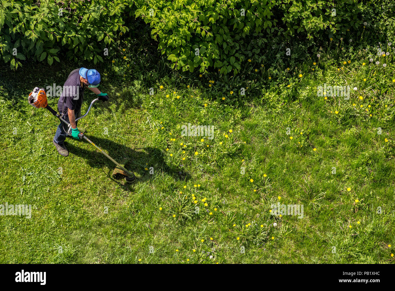 Male worker with power tool string lawn trimmer mower cutting grass, top view Stock Photo