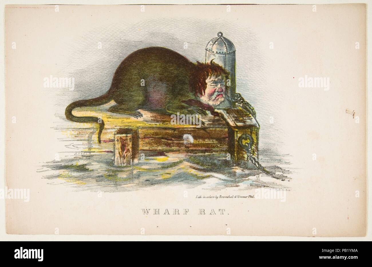 Wharf Rat, from The Comic Natural History of the Human Race
