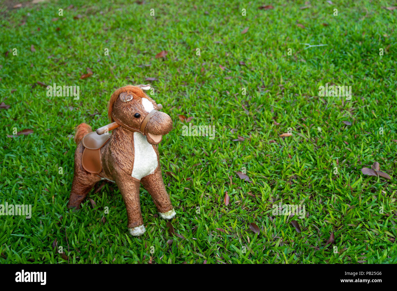 horse field toys