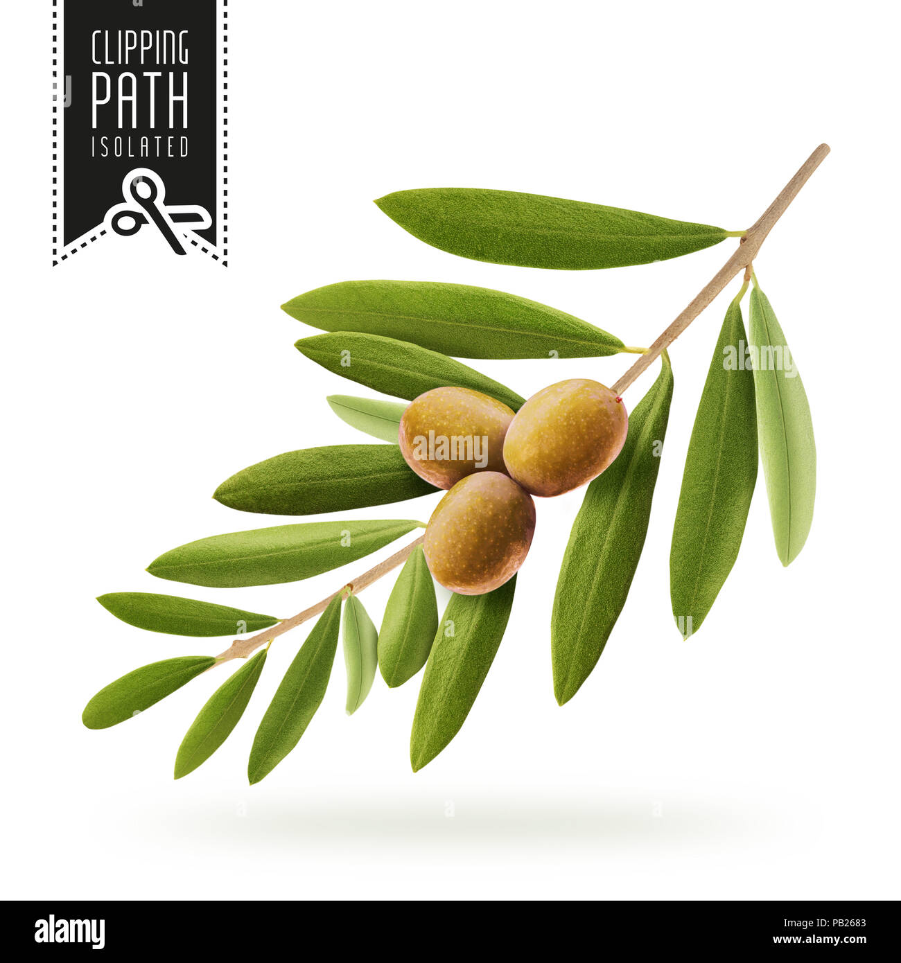 Fresh olive branch hires stock photography and images Alamy