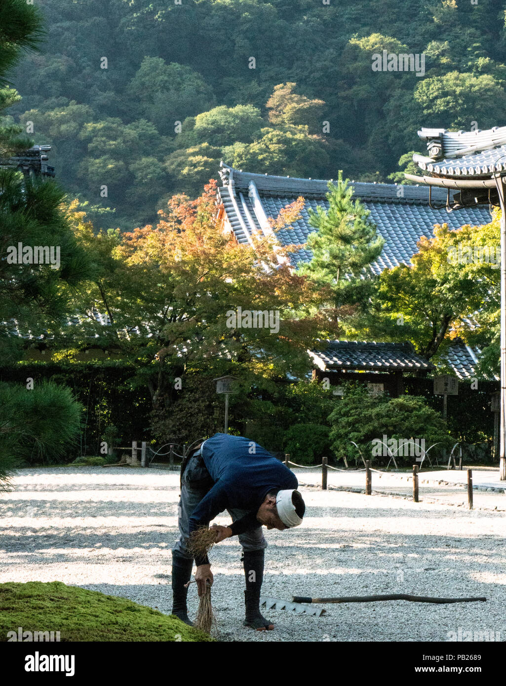as of art, Japanese gardens are meticulously tended. Nature is but highly manipulated Stock Photo - Alamy