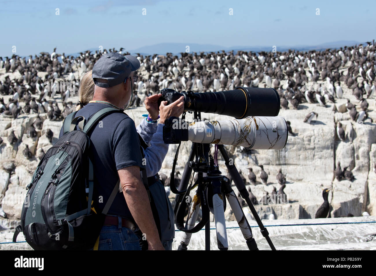 Two people telephoto lenses tripods photographing birds Farne Islands