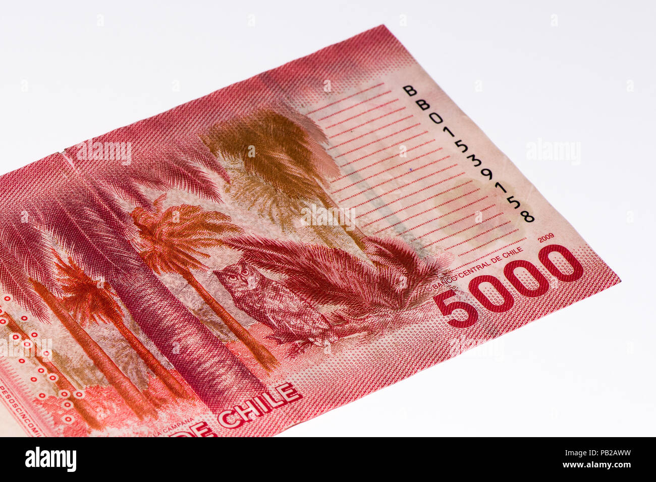 5000 Chilean pesos bank note. Chilean peso is the national