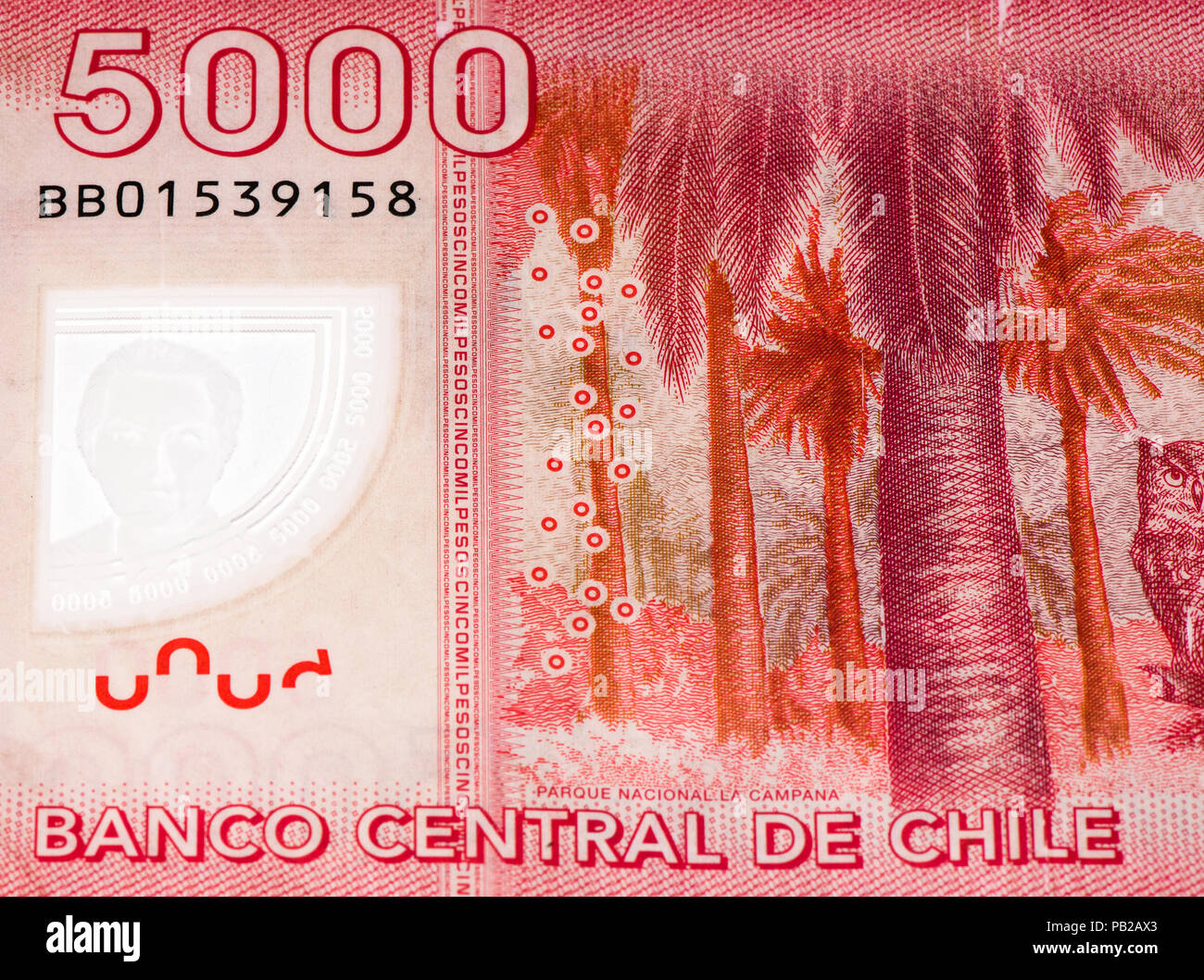 5000 Chilean pesos bank note. Chilean peso is the national currency of Chile  Stock Photo - Alamy