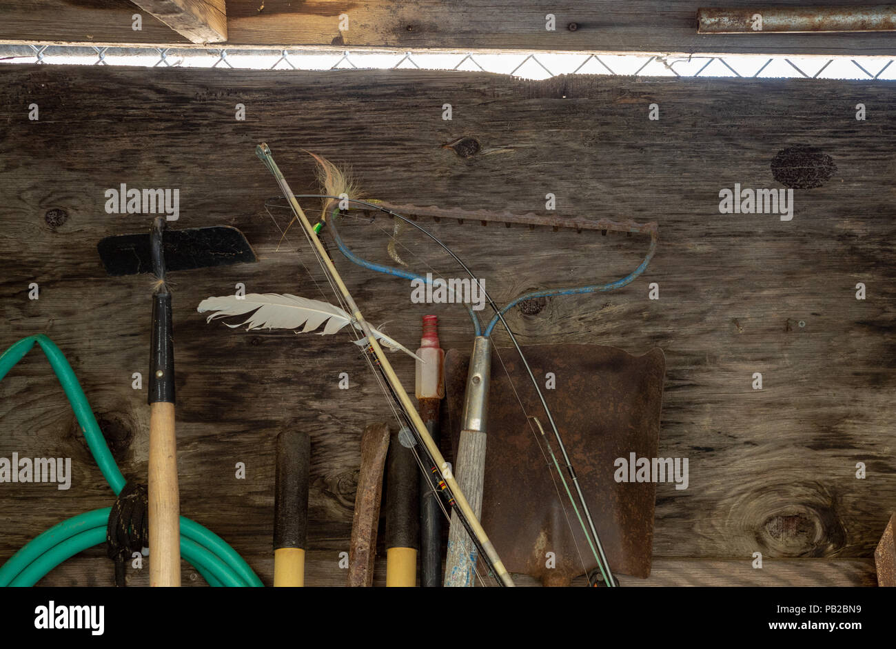 Rake, hose, hoe, shovel, and other yardwork and gardening tools leaning