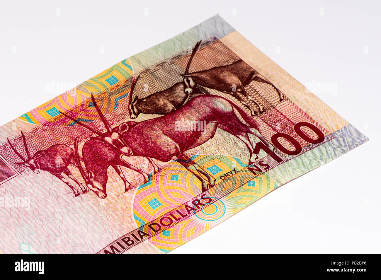 100 Namibian dollars bank note of Namibia. Namibian dollars is the national currency of Namibia