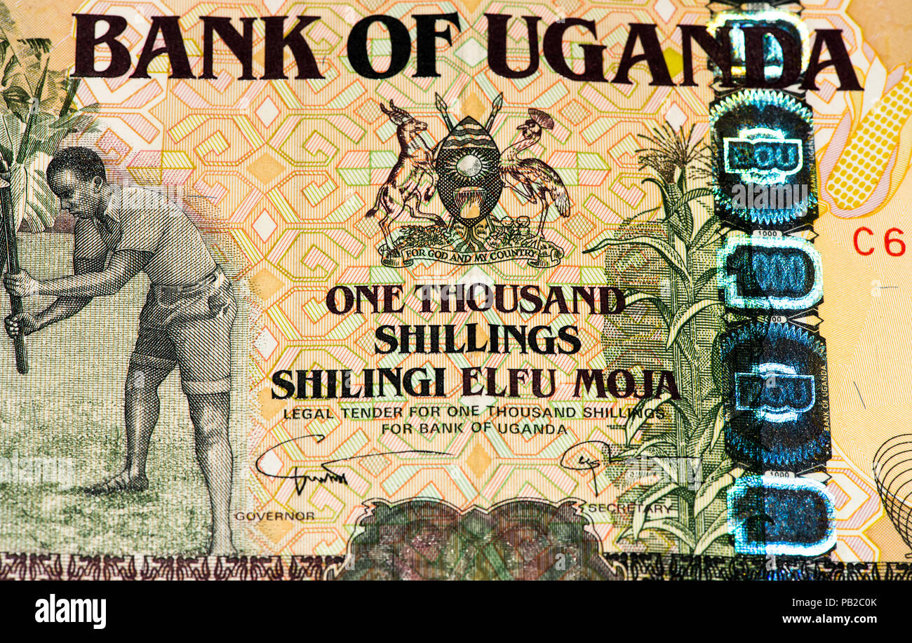 1000 Ugandan shillings bank note. Ugandan shilling is the national