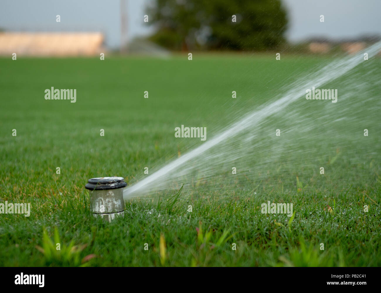 Inground sprinkler system blasting water to the right on a local field