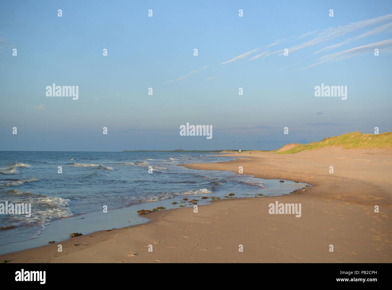 Hidden treasure hires stock photography and images Alamy