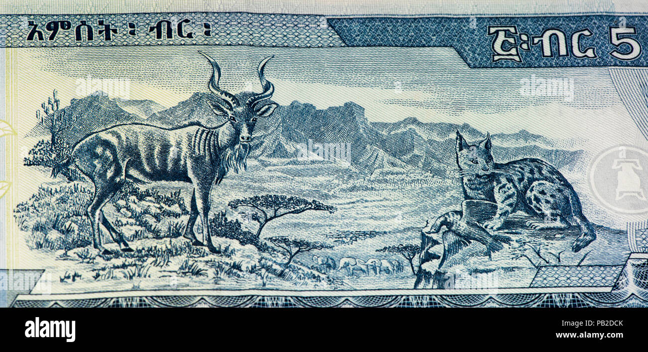 5 Ethiopian birr bank note. Birr is the national currency of Ethiopia