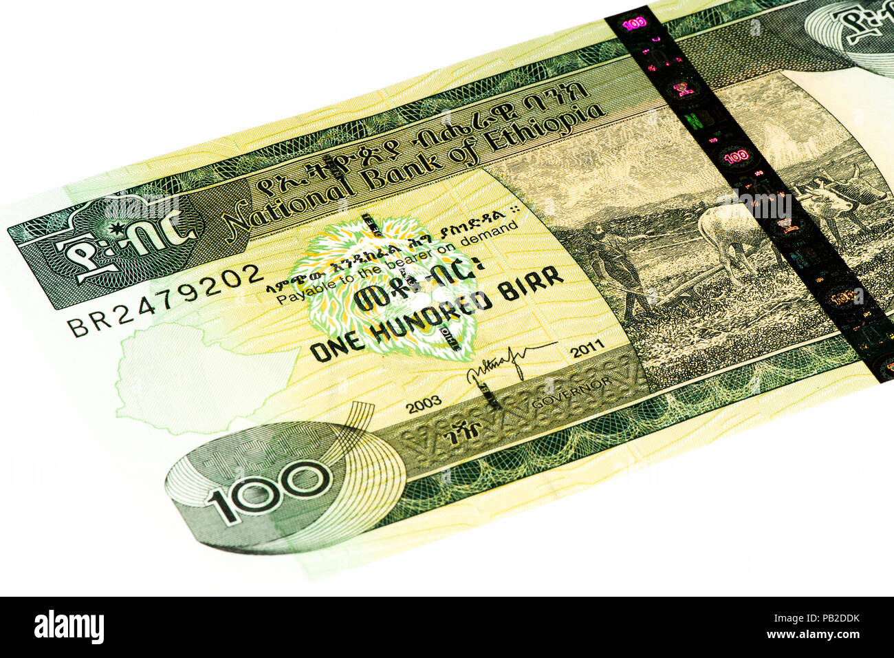 100 Ethiopian birr bank note. Birr is the national currency of Ethiopia