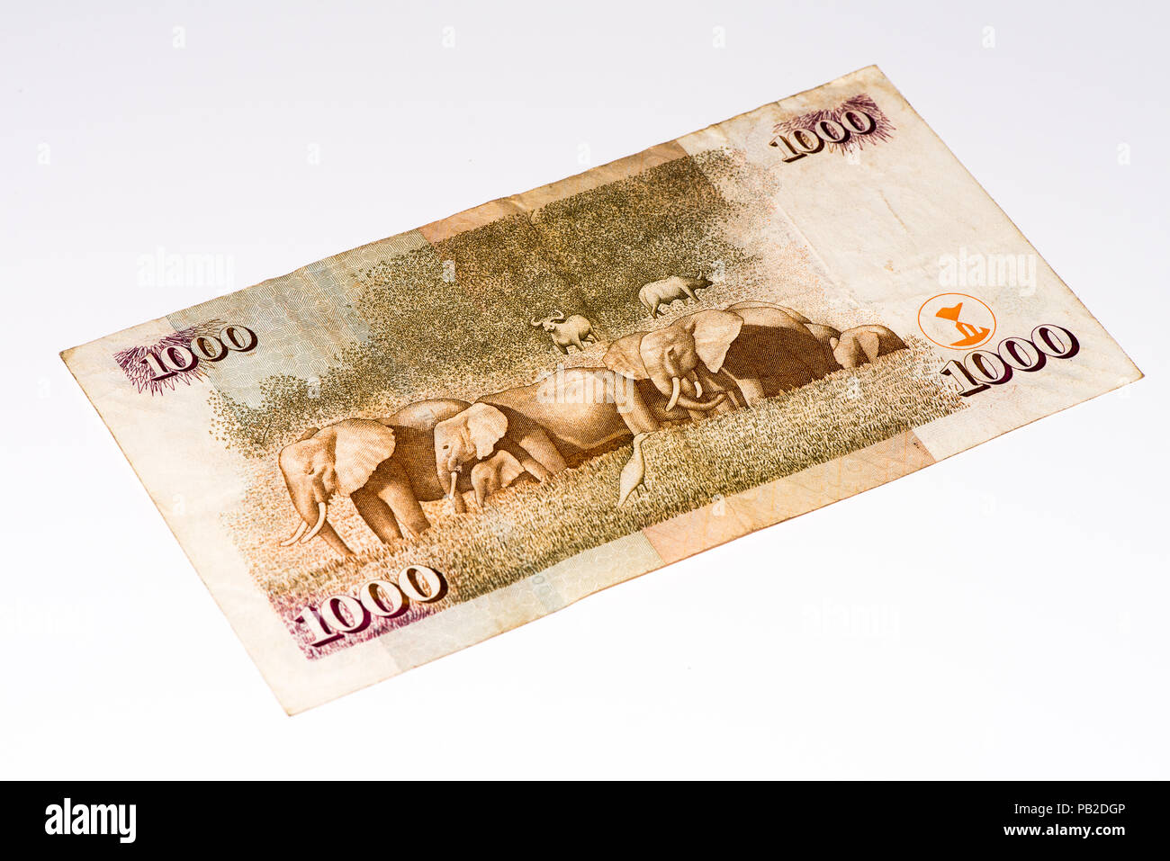 1000 Kenyan shillings bank note of Kenya. Kenyan shilling is the