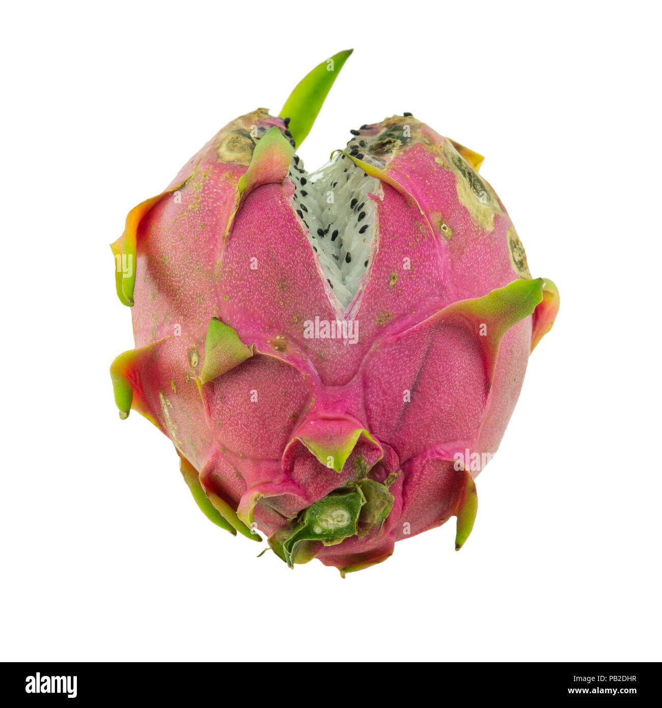 Top 27+ Background Images what does rotten dragon fruit look like Full HD, 2k, 4k Top 27+ Background Images what does rotten dragon fruit look like Full HD, 2k, 4k