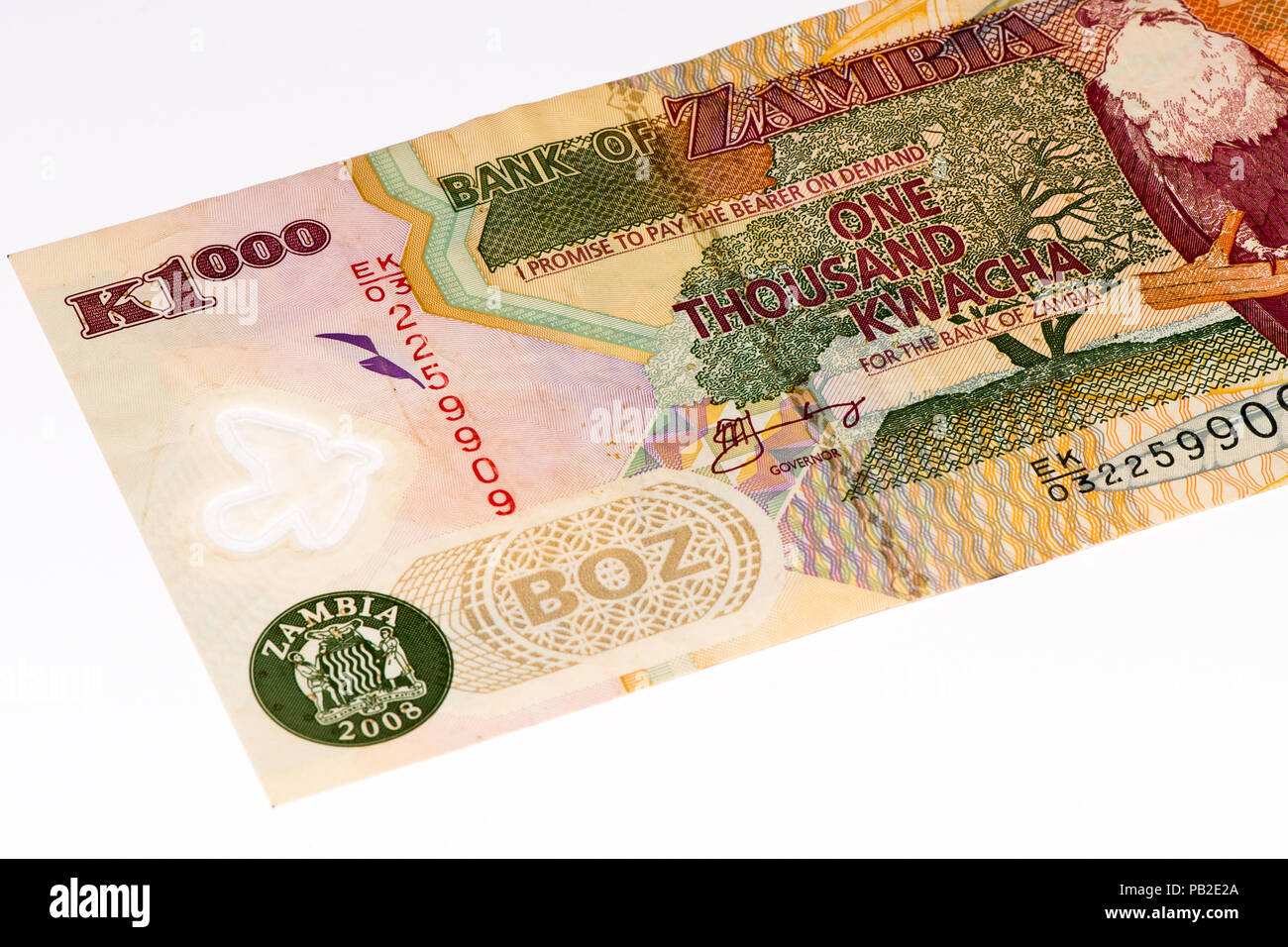 1000 Zambian kwach bank note. Zambian kwacha is the national currency of Zambia Stock Photo