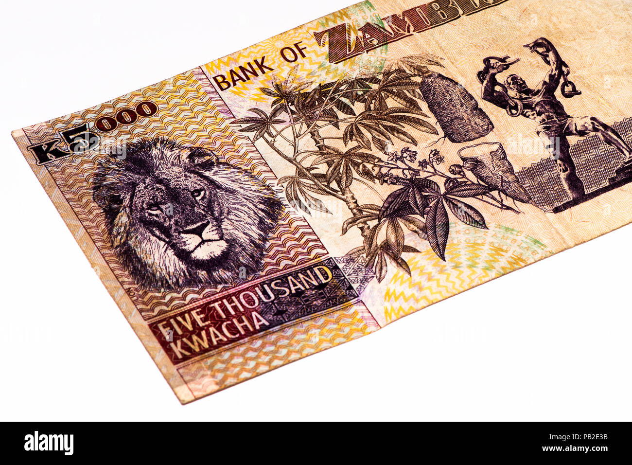 5000 Zambian kwach bank note. Zambian kwacha is the national currency of Zambia Stock Photo