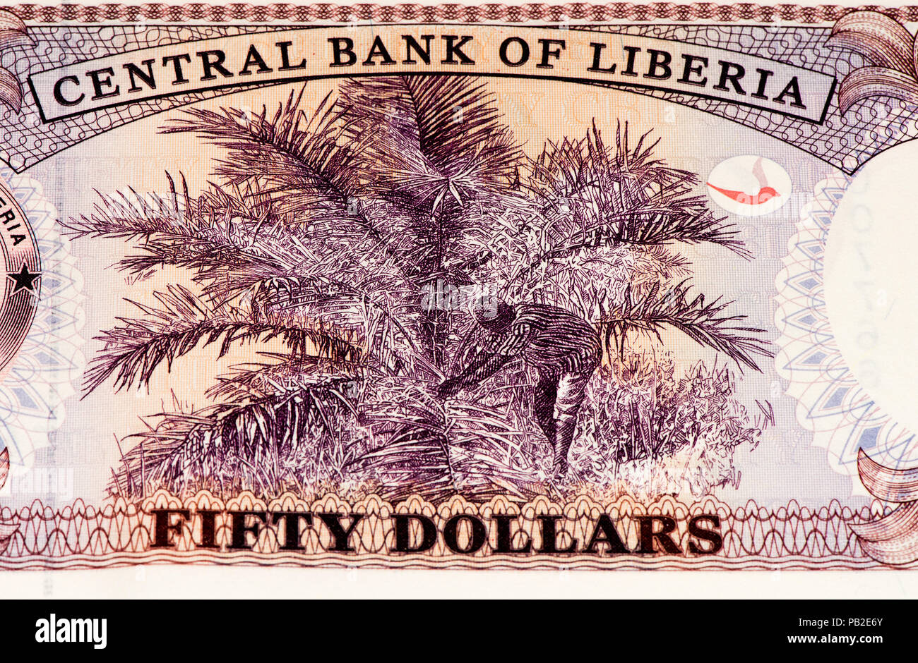 50 Liberian Dollars Bank Note Liberian Dollars Is The National 50-liberian-dollars-bank-note-liberian-dollars-is-the-national