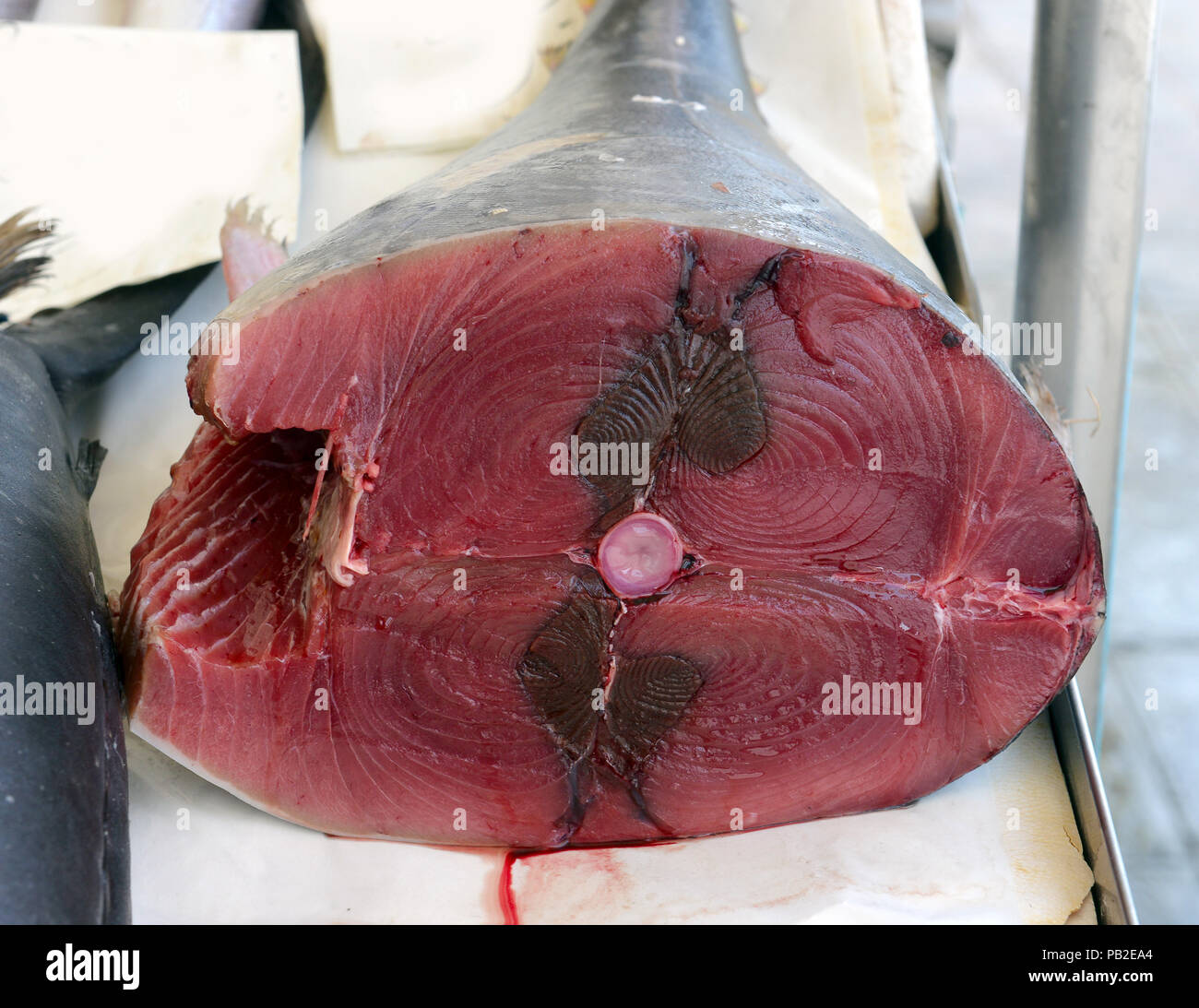 fresh red tuna slices in fish market Stock Photo