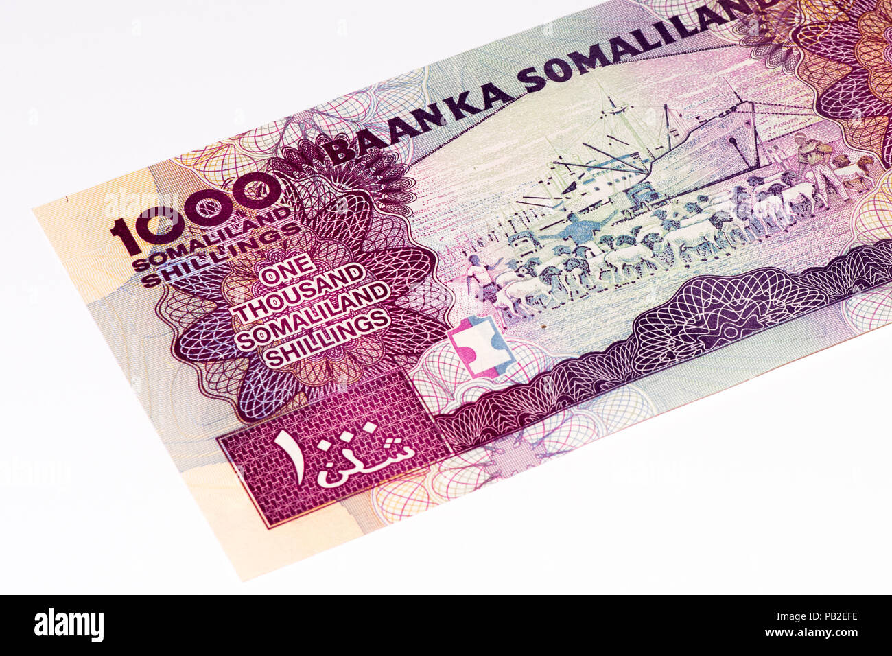 1000 Somali shilings, the national currency of Somalia Stock Photo Alamy