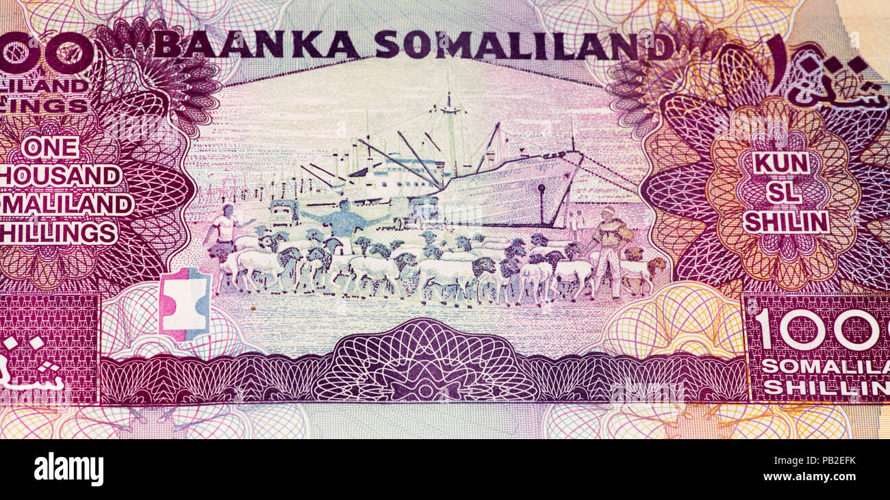 1000 Somali shilings, the national currency of Somalia Stock Photo Alamy