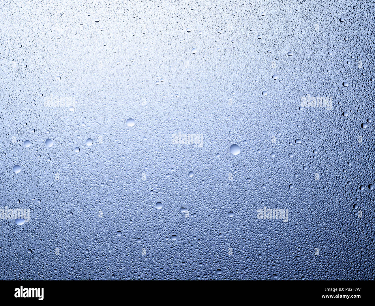 A graphic landscape framed shot of some dew, droplets or condensation. Stock Photo