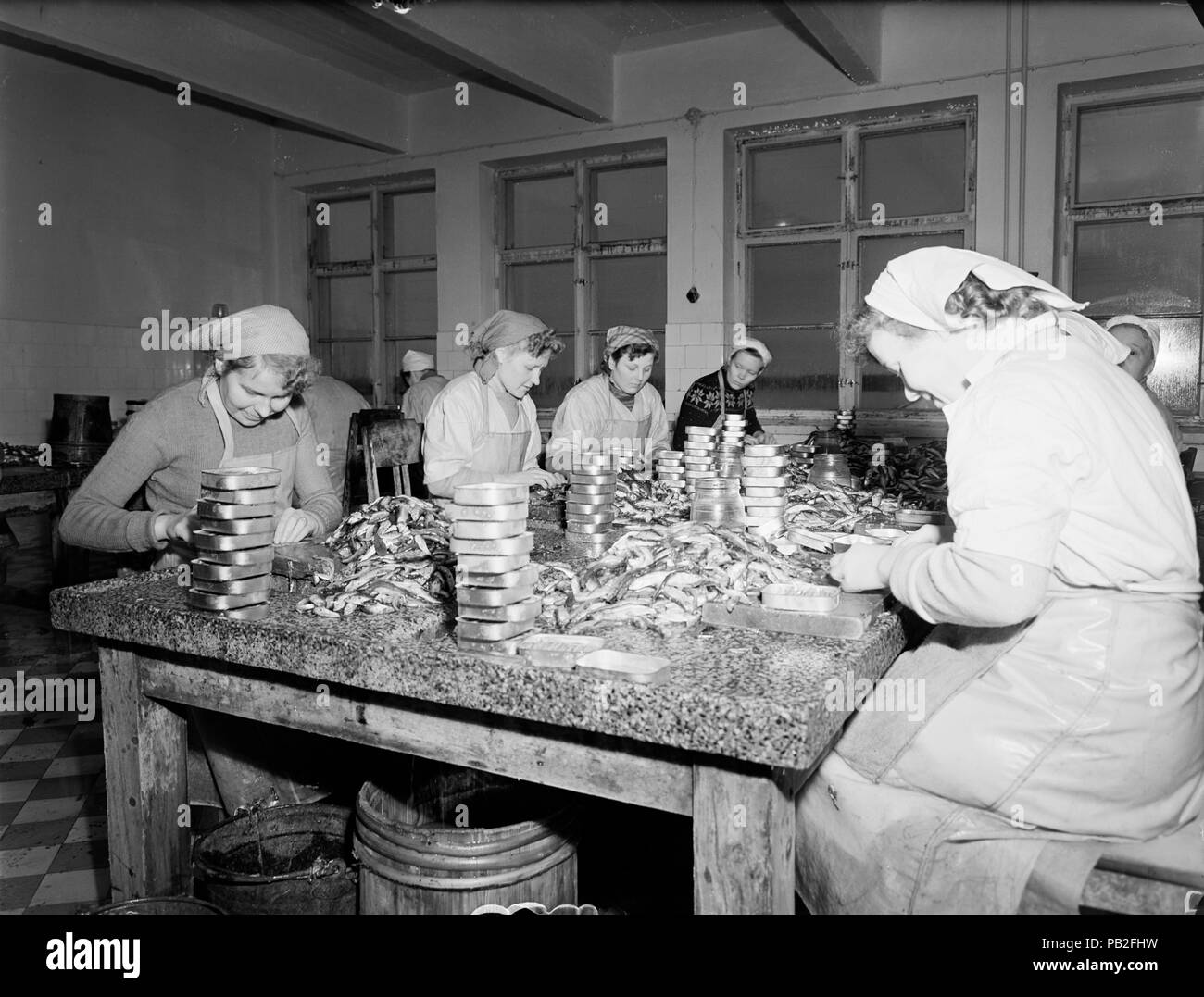 Female workers sitting at table packing tins, Suomen Kalastus Oy's canned fish factory, Loviisa, Uusimaa, Finland undated 1930s-1950s Stock Photo