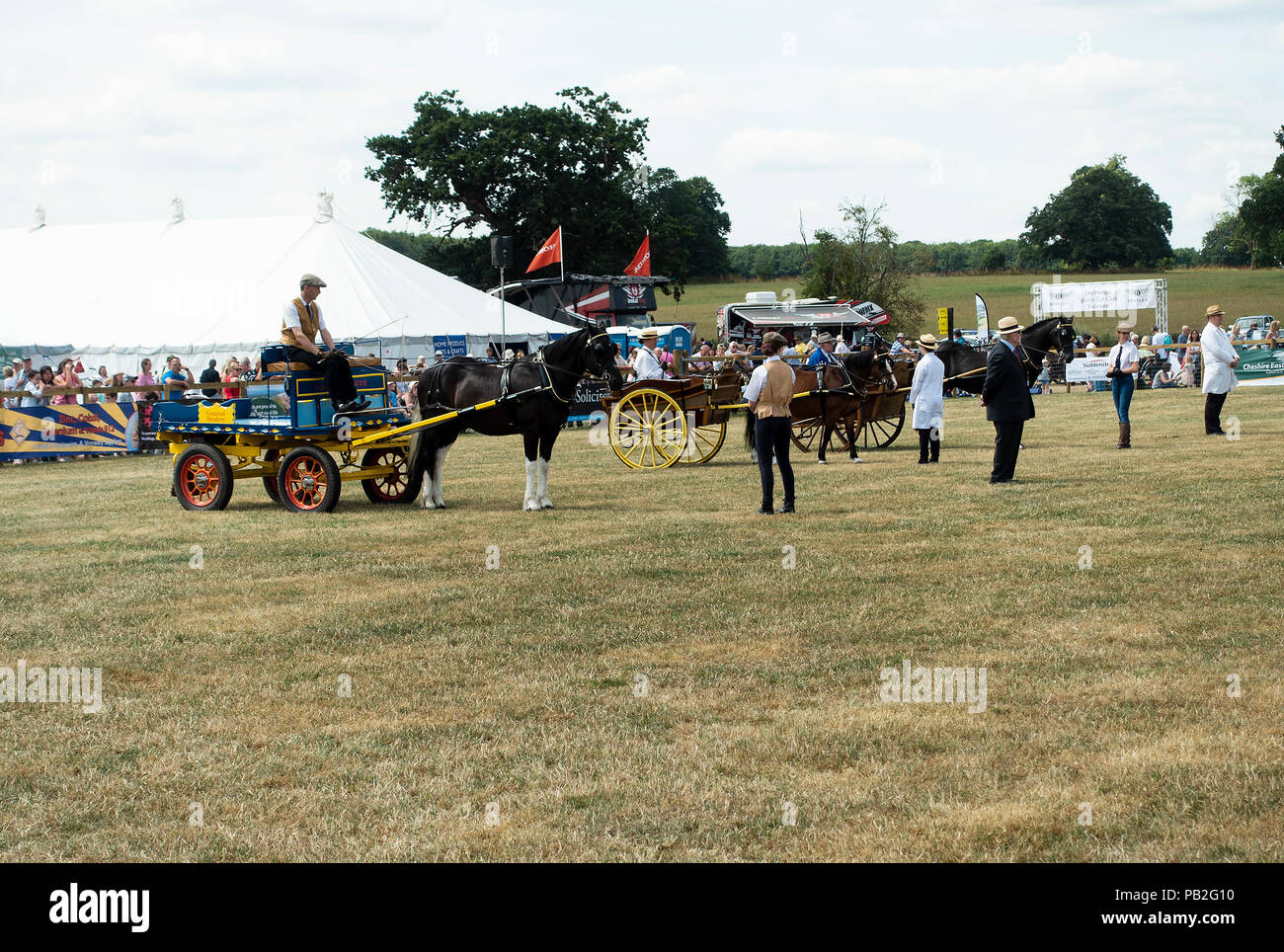 Carthorses in Competition and on Display in the Main Ring at the Nantwich Agricultural Show in Cheshire England United Kingdom UK Stock Photo