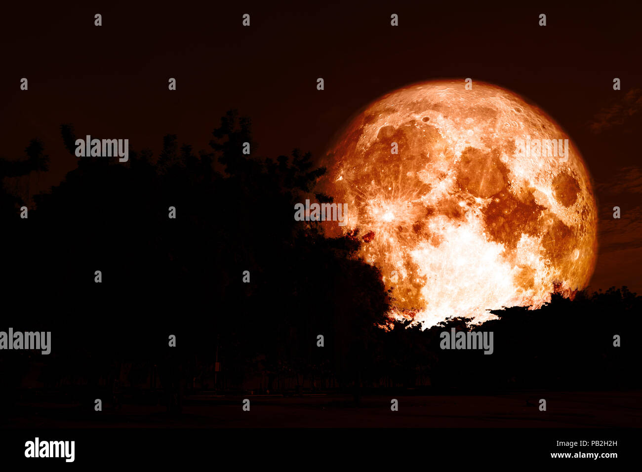 full hunter's moon back silhouette colorful sky, Elements of this image furnished by NASA Stock Photo