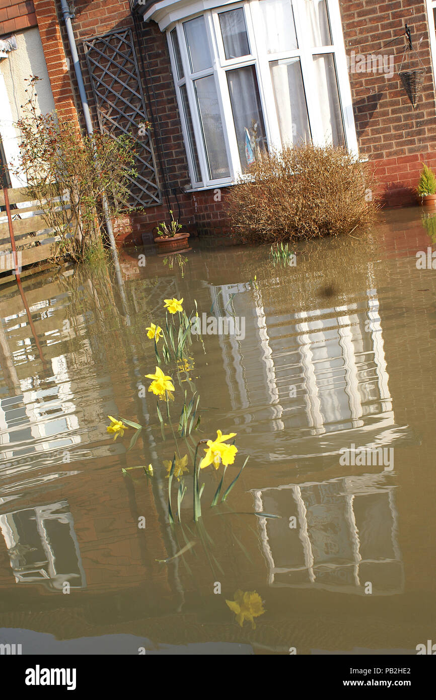 Why Does My Garden Flood at Crystal Mooneyhan blog