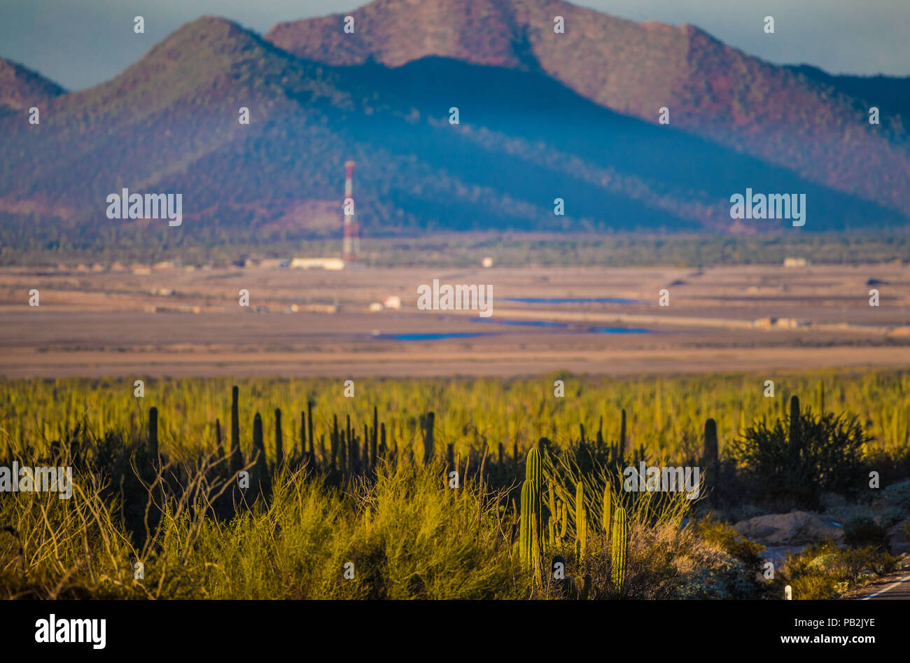 Paisaje horizontal del desierto hi-res stock photography and images - Alamy