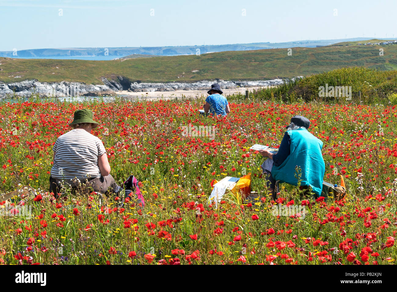 artists painting in wild flower meadow at west pentire, cornwall, england, britain, uk. Stock Photo