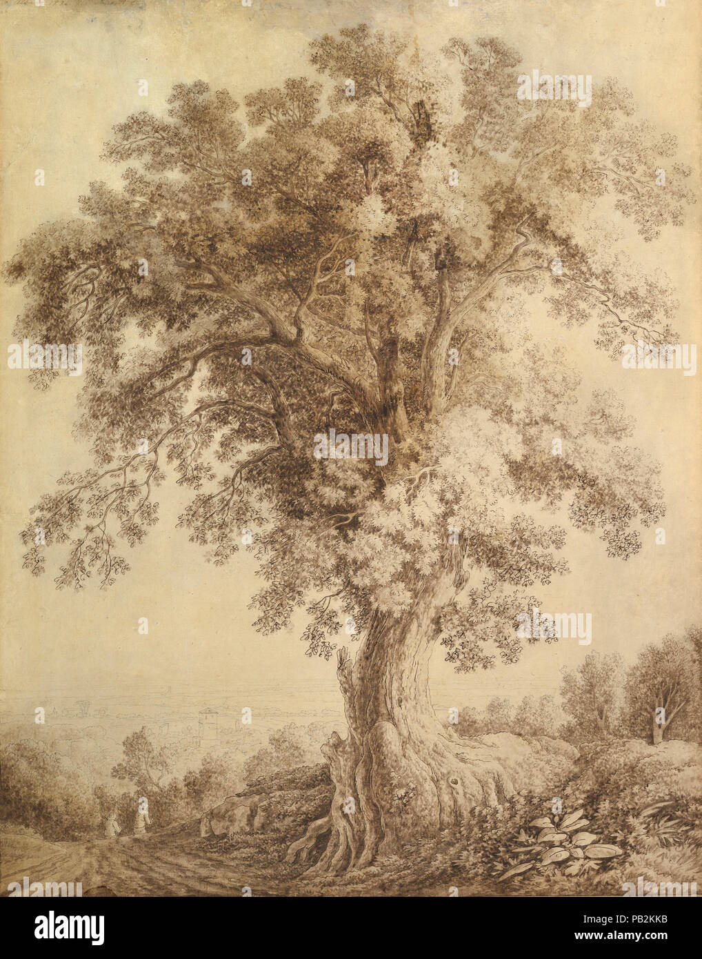 a large tree at albano by jacob philipp hackert Stock Photo