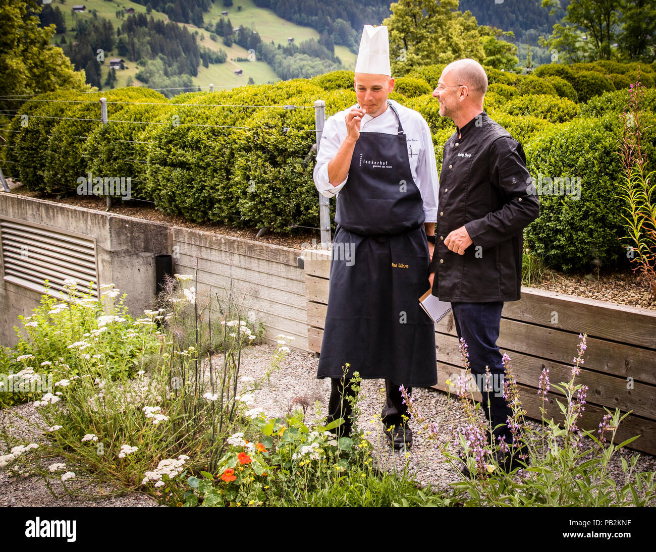 Chef Stefan Lünse of Hotel Lenkerhof shows journalist Georg Berg the hotel's own herb garden in Lenk, Switzerland. Stock Photo