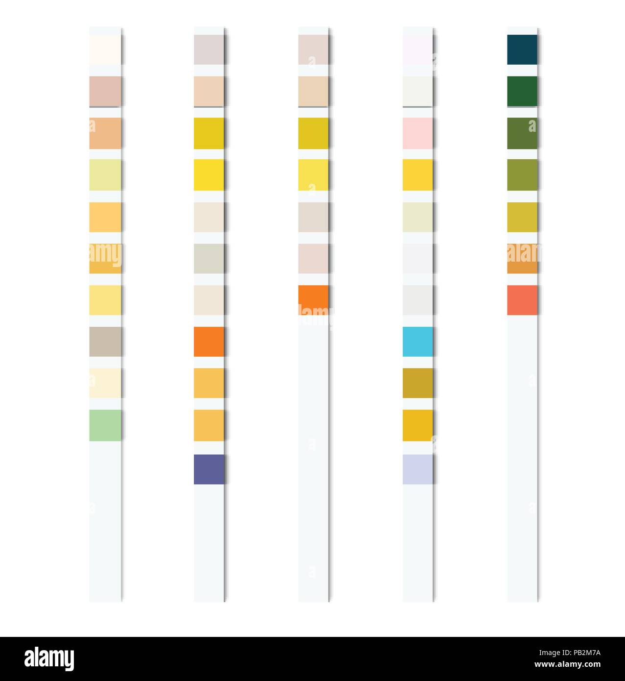 Reagent Test Strips For Urinalysis For An Automatic Analyzer Of Physical And Chemical Properties And Cellular Composition Of Urine Stock Vector Image Art Alamy