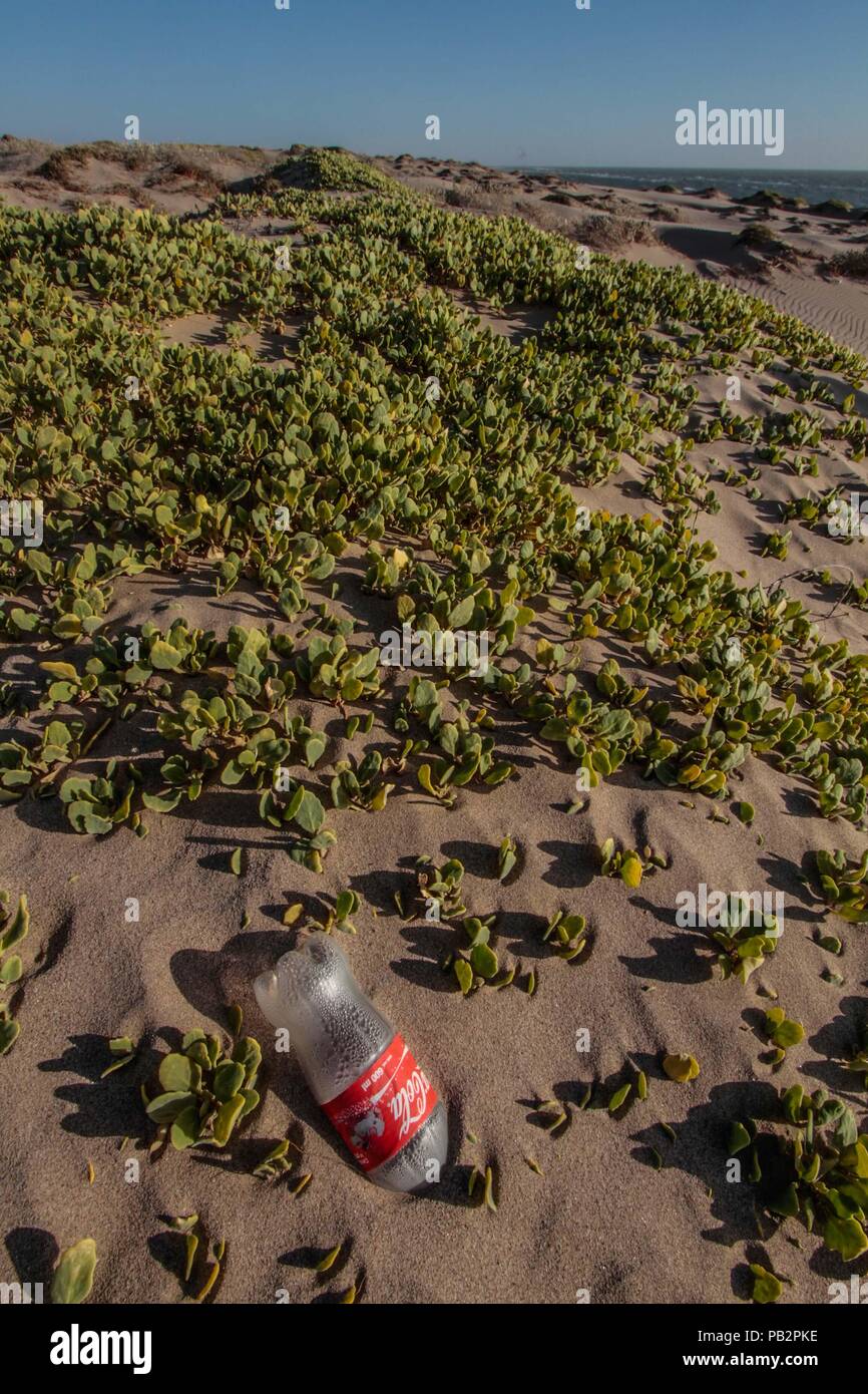 Empty plastic bottle of Coca Cola brand gas, cause of pollution and environmental impact. Sand dunes at Imalaya Beach in the vicinity of Kino Bay. Stock Photo