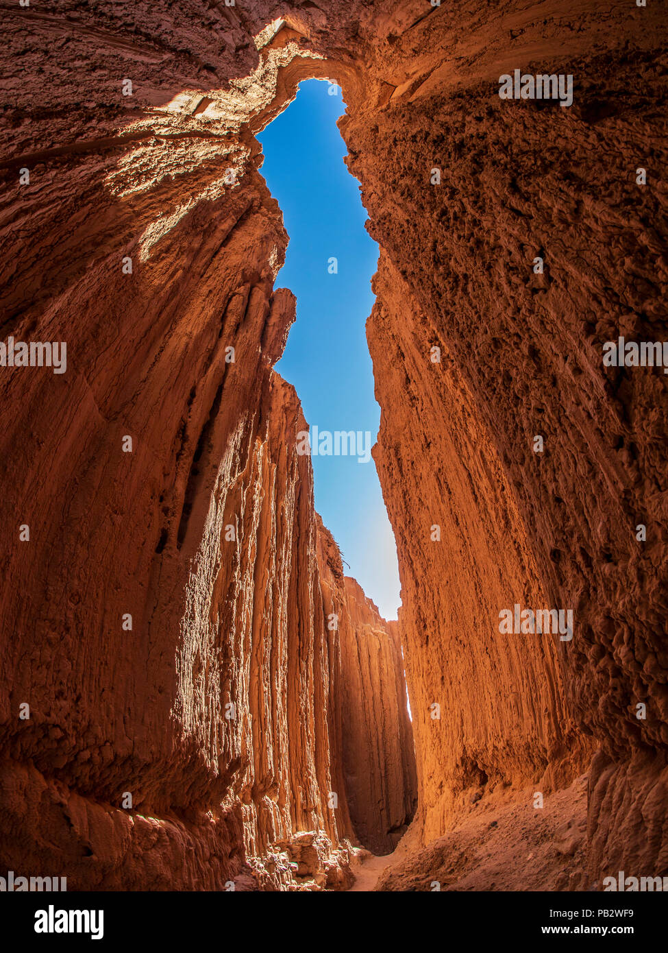 Nevada's Cathedral Gorge: A Canyon Carved by Time, Ready for Your Adventure
