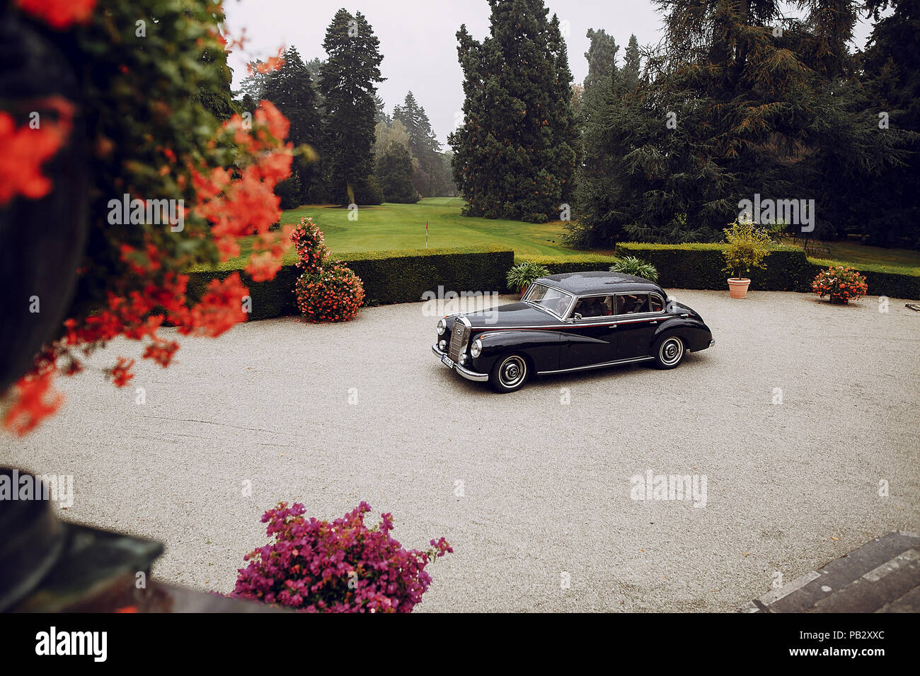 Metallic clean shiny black car paint hi-res stock photography and images -  Alamy