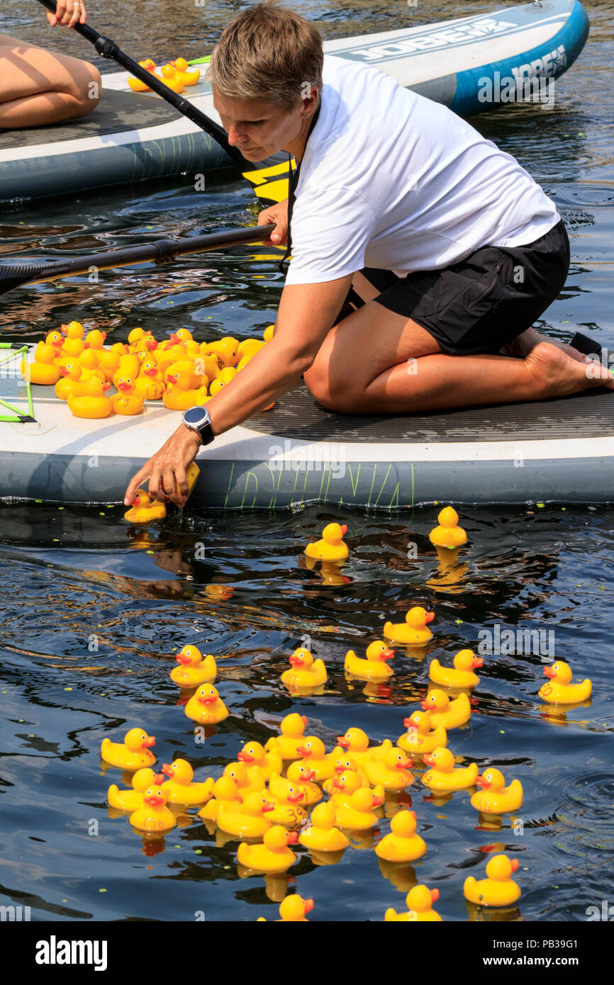 500 rubber ducks